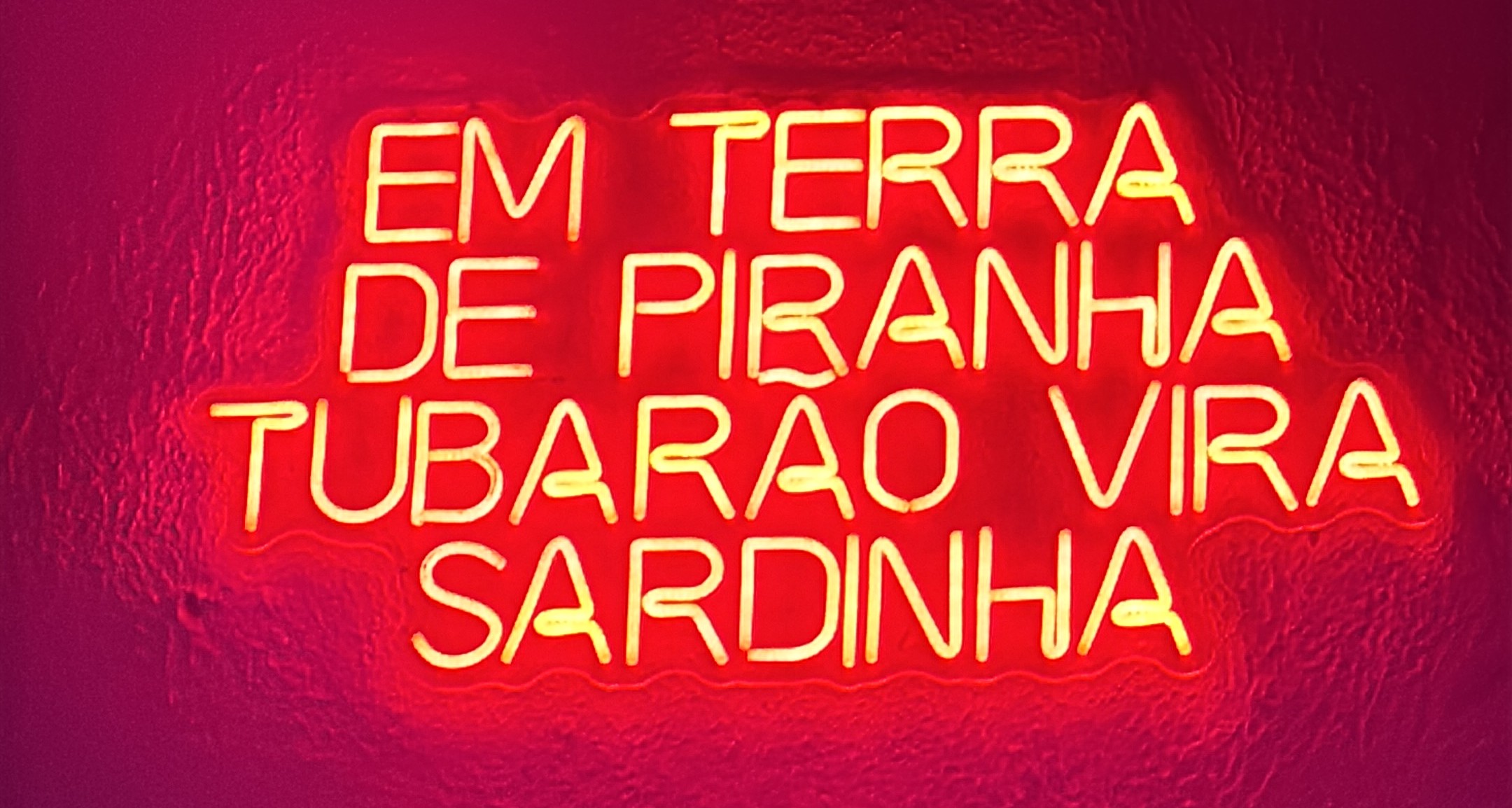 Gustavo "Guh Swift" Henrique